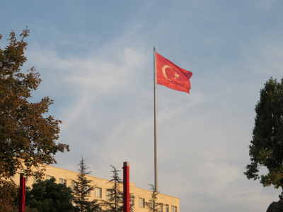 Бёгюрджю: туристам в Стамбуле следует игнорировать мошенников с &laquo;упавшей щеткой&raquo;