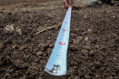 Неиспользуемые земли почти на 30 млрд тенге вернули в госсобственность в СКО