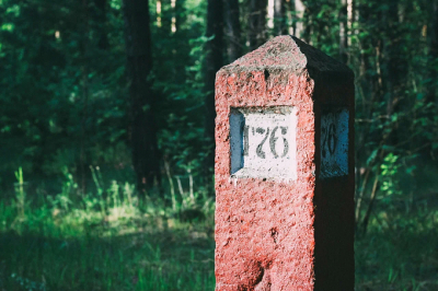 Экоактивисты требуют оформить земли в Шильнинском лесу, изъятые два года назад