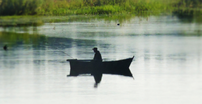 В США рыбаки поймали редкого двухцветного лобстера