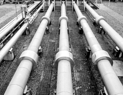 Опубликованы кадры с возможным местом казни террористов в Израиле