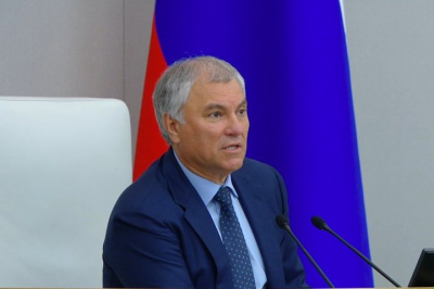 Володин предложил кабмину скорректировать постановление об учете животных