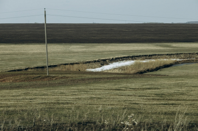 Власти через суд изымают у собственника заброшенные сельхозземли под Елабугой