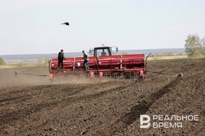 Расходы на весенне-полевые работы в Татарстане в 2026 году составили 43 млрд рублей