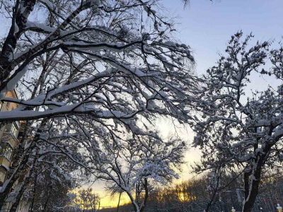 Москву и область завалило снегом: что говорят синоптики