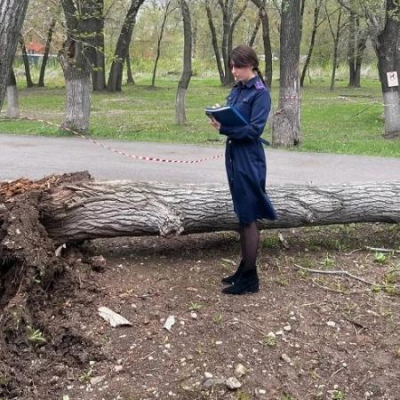 Трагедия в Самаре: дерево рухнуло на двух школьниц, одна погибла