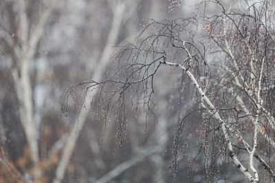 В&nbsp;Татарстан на&nbsp;этой неделе придут дожди, но&nbsp;будет до&nbsp;плюс 16 градусов