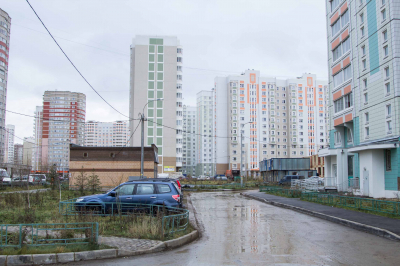 Пачулия: россиянам грозит штраф за разведение сада во дворе многоэтажек