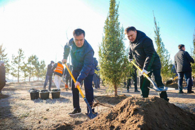 Более 1 млн зеленых насаждений высадят в Астане в текущем году