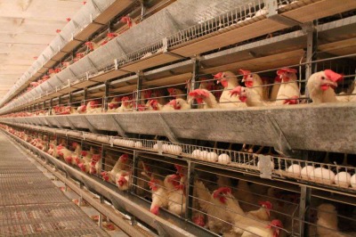 Холдинг &ndash; хорошо, а&nbsp;кластер &ndash; лучше