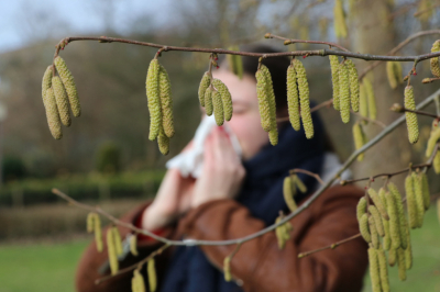 Мало аллергенов и много осадков: пыльца в Москве сегодня &mdash; 29 апреля