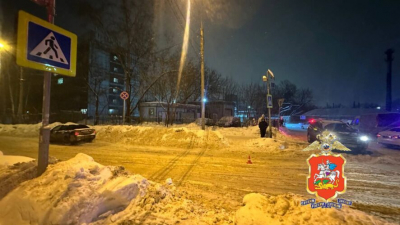 Водитель переехал малышку в санках на пешеходном переходе - фото 28/01/2026 &ndash; Новости