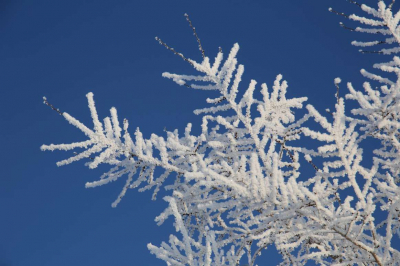 Какой будет зима в Казахстане, рассказали синоптики