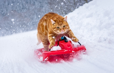 27-градусные морозы и снег: прогноз на начало февраля в Татарстане дал Гидрометцентр