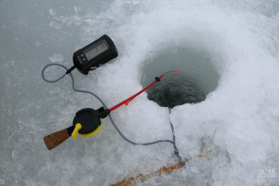 На территории заказника «Устье реки Меши» с февраля вводится запрет на рыбалку