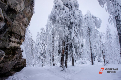 В районе исчезновения сибиряка в Красноярских Столбах замечены собаки