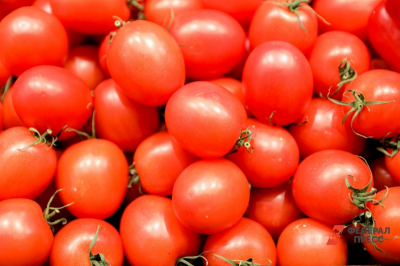 В Челябинской области ликвидировали 18 тонн томатов, зараженных опасным вирусом