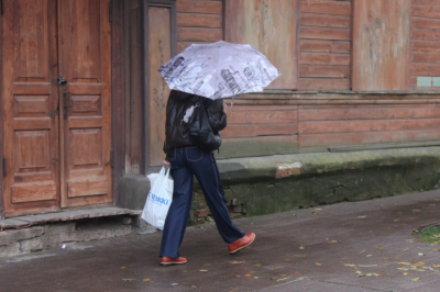 Синоптик Позднякова ответила, каким будет Вербное воскресенье в Москве