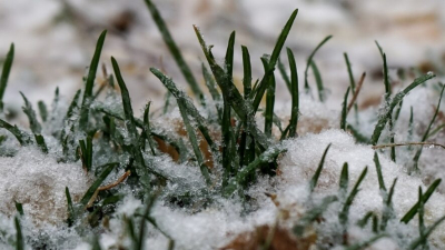 Туман и тепло до +13 придут в Татарстан в середине рабочей недели 17/03/2026 &ndash; Новости