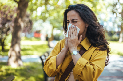 Березы замерзли и умерли? Пыльца в Москве сегодня &mdash; прогноз на 10 апреля