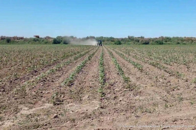 Казахстанские фермеры заложники дефицита воды из Кыргызстана