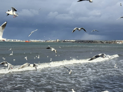 После шторма в Анапе началась уборка новых фрагментов мазута