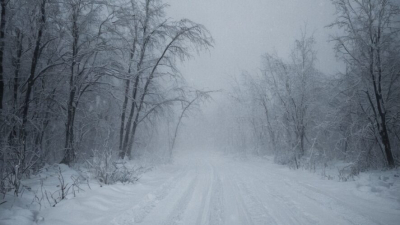 Ближе к обеду снегопад в Казани усилится, ожидаются сильные метели 08/02/2026 &ndash; Новости
