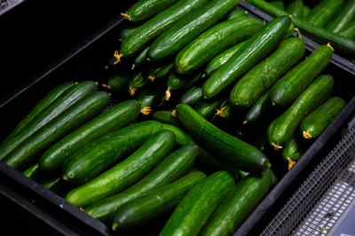 В &laquo;Пятёрочке&raquo; опровергли слухи о продаже огурцов в одни руки