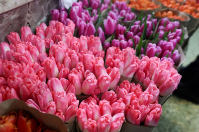 Экономист ответила, на сколько взлетят цены на букеты к 8 Марта