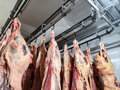 Мясо-призрак: 16,5 тонны фантомной говядины &laquo;оформил&raquo; лжеветврач в Нижегородской области