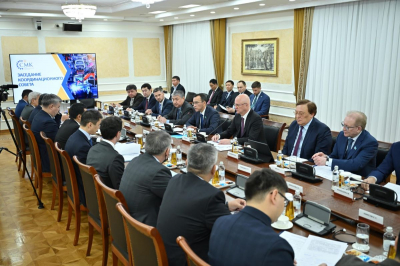 Маулен Ашимбаев рассказал о подготовке нового закона