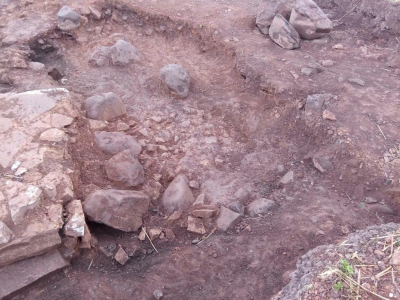 В Америке дети нашли человеческие останки и приняли их за кости оленя